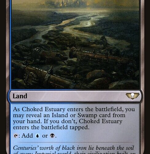 Choked Estuary [40K #268] EN NM