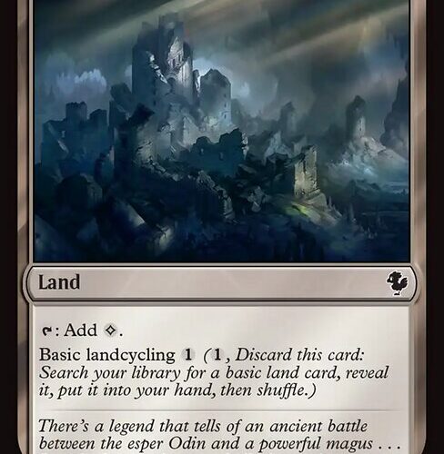 Ash Barrens [FIC #374] EN NM