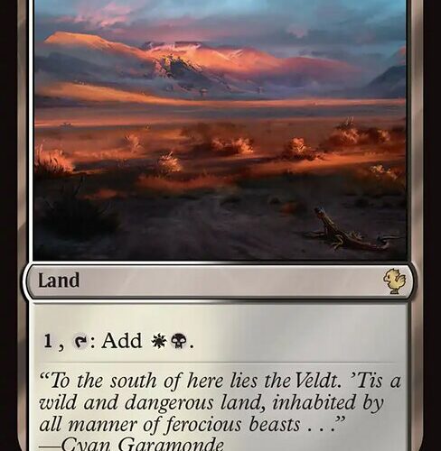 Desolate Mire [FIC #386] EN NM