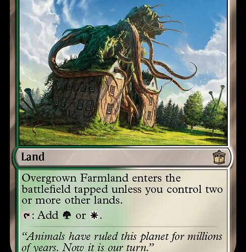 Overgrown Farmland [WHO #292] EN NM