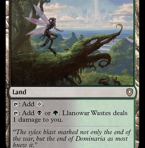 Llanowar Wastes [BLC #315] EN NM