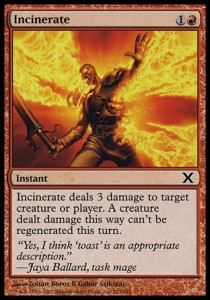 Incinerate [10E #213] SPANISH NM