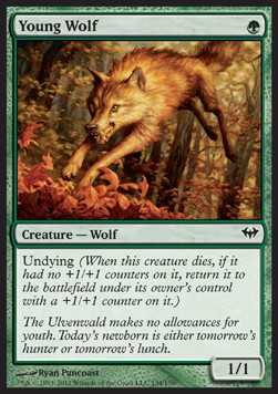 Young Wolf [DKA #134] SPANISH NM