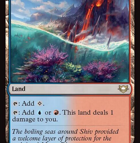 Shivan Reef [EOC #179] ENGLISH NM