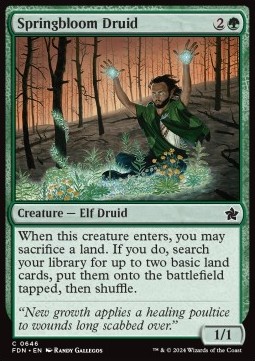 Springbloom Druid [SFDN #646] EN NM