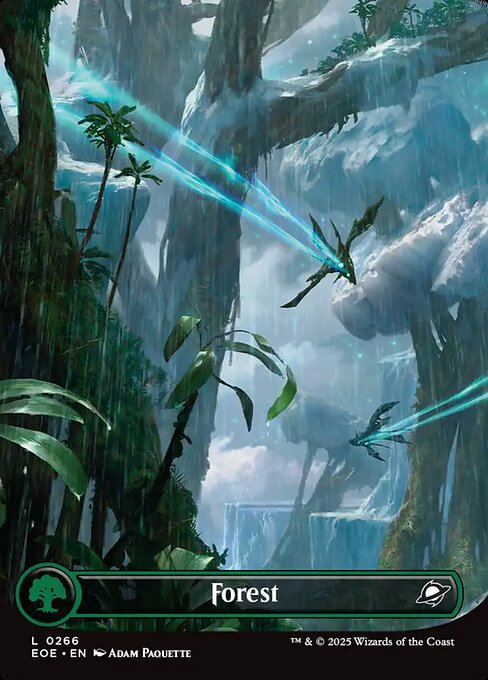 Forest [EOE #266] EN NM