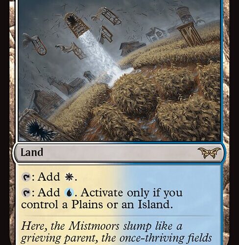 Floodfarm Verge [DSK #259] ENGLISH NM