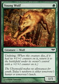 Young Wolf [DKA #134] SPANISH NM