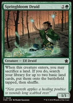 Springbloom Druid [SFDN #646] ENGLISH NM