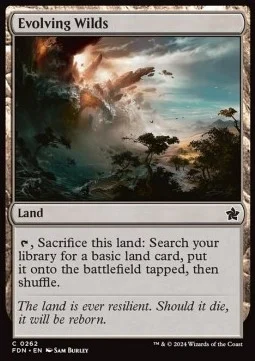Evolving Wilds [FDN #262] ENGLISH NM