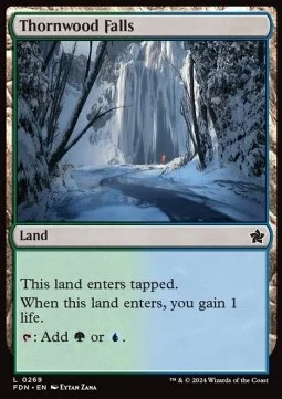 Thornwood Falls [FDN #269] ENGLISH NM