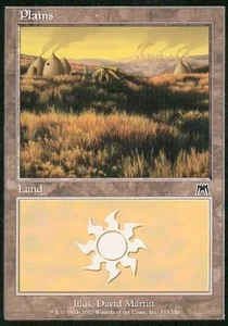 Plains (V.3) [ONS #333] SPANISH NM
