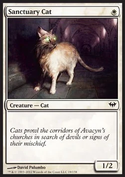 Sanctuary Cat [DKA #19] SPANISH NM