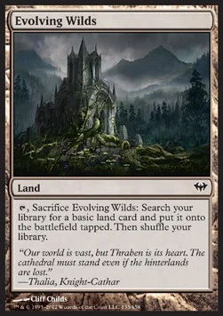 Evolving Wilds [DKA #155] SPANISH NM