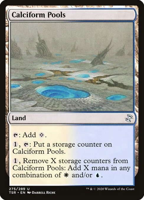Calciform Pools [TSR #275] ENGLISH NM