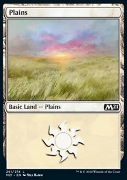 Plains (V.2) [M21 #261] SPANISH NM
