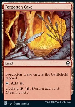 Forgotten Cave [C21 #289] SPANISH NM