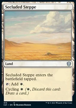 Secluded Steppe [C21 #315] SPANISH NM