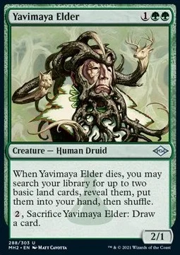 Yavimaya Elder (V.1) [MH2 #288] ENGLISH NM