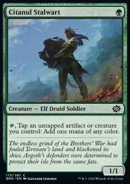 Citanul Stalwart [BRO #175] SPANISH NM