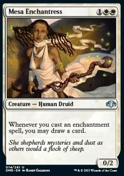 Mesa Enchantress [DMR #14] ENGLISH NM