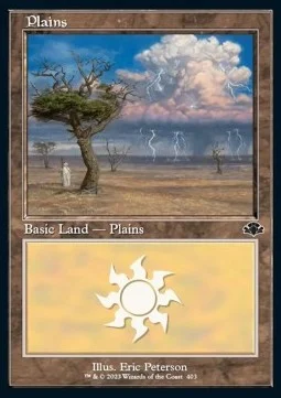 Plains (V.2) [DMR #403] SPANISH NM
