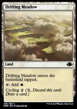 Drifting Meadow [DMR #245] SPANISH NM