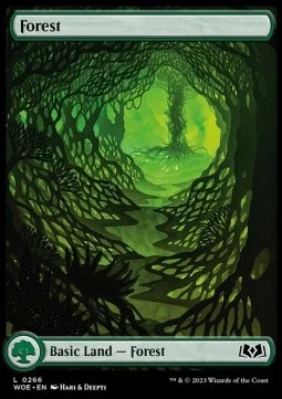 Forest [WOE #266] SPANISH NM