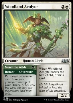 Woodland Acolyte // Mend the Wilds [WOE #241] ENGLISH NM