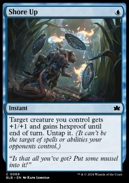 Shore Up [BLB #69] SPANISH NM